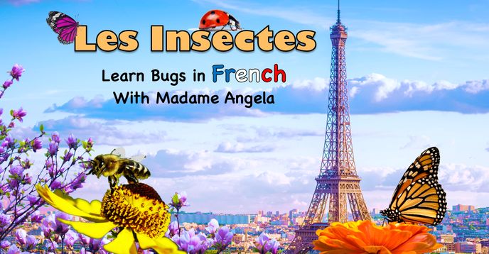 Learn About Bugs In French Les Insectes Small Online Class For Learn About Bugs In French Les Insectes Small Online Class For